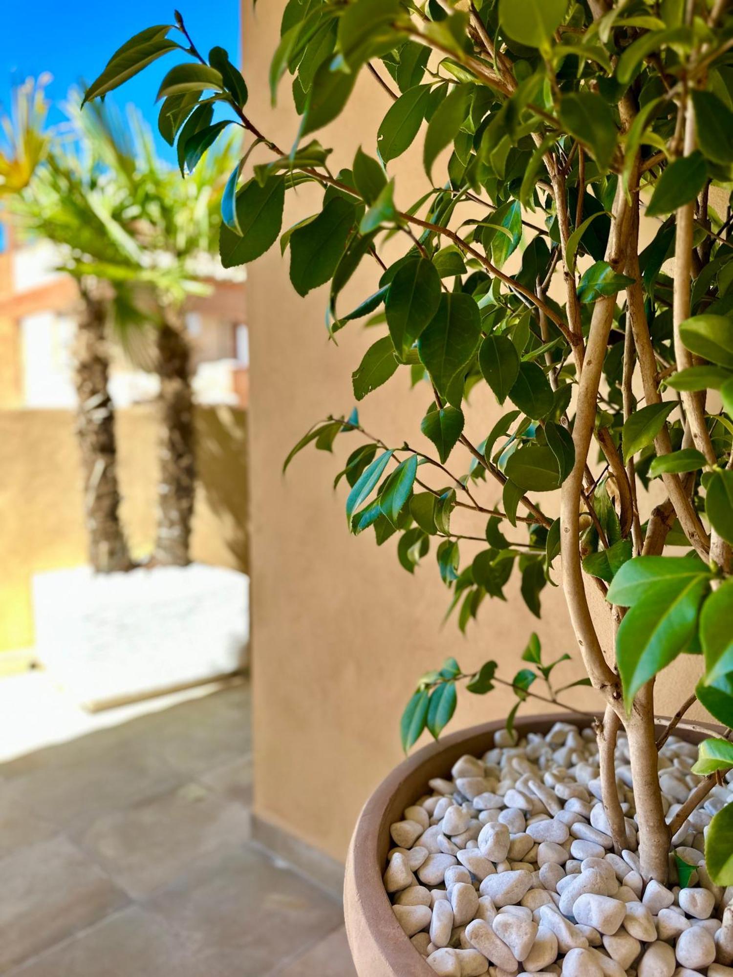 Apartamento Libelle Granada Exterior foto